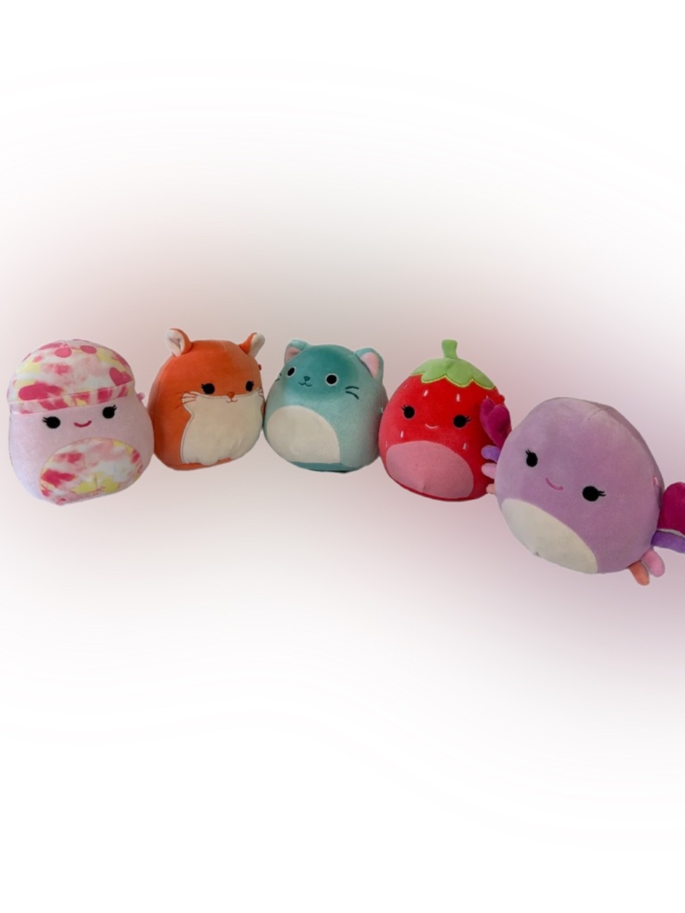Squishmallows 5” Plush Bundle Lot of 5 Cat Fox Strawberry Axolotl Mushroom